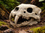Sabertooth Skull, 3D printed in PETG, for terrariums, vivariums and aquariums