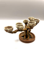 Plant Root Planter, 3D printed in PETG, view 7 of 7