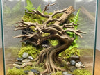 Bonsai Climbing Tree, 3D printed in PETG