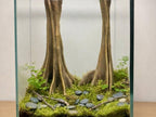 Two Tall Trees 3D Background (Partial), 3D printed in PETG, for terrariums, vivariums and aquariums