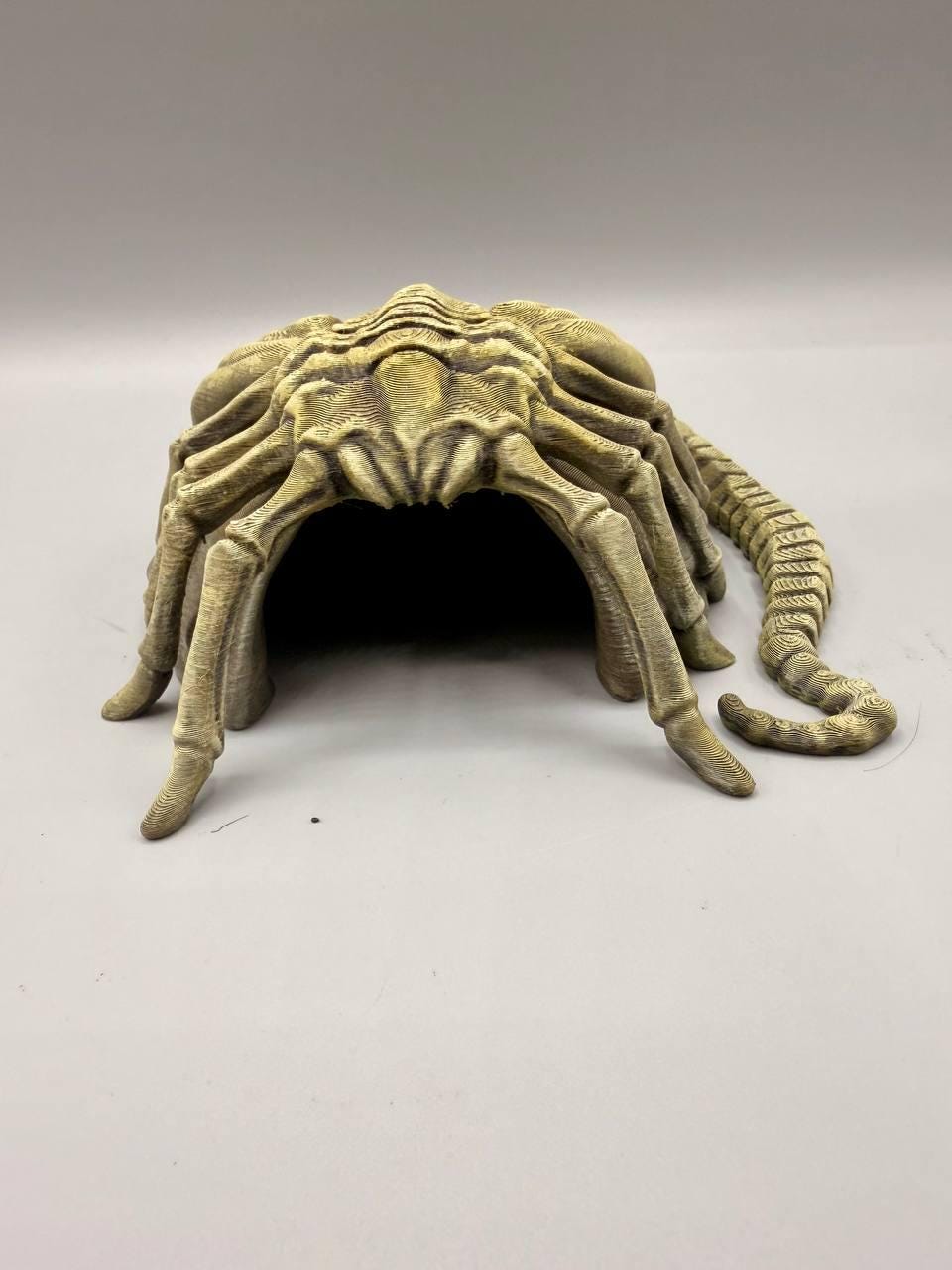 Facehugger Hideout, 3D printed in PETG, view 6 of 8