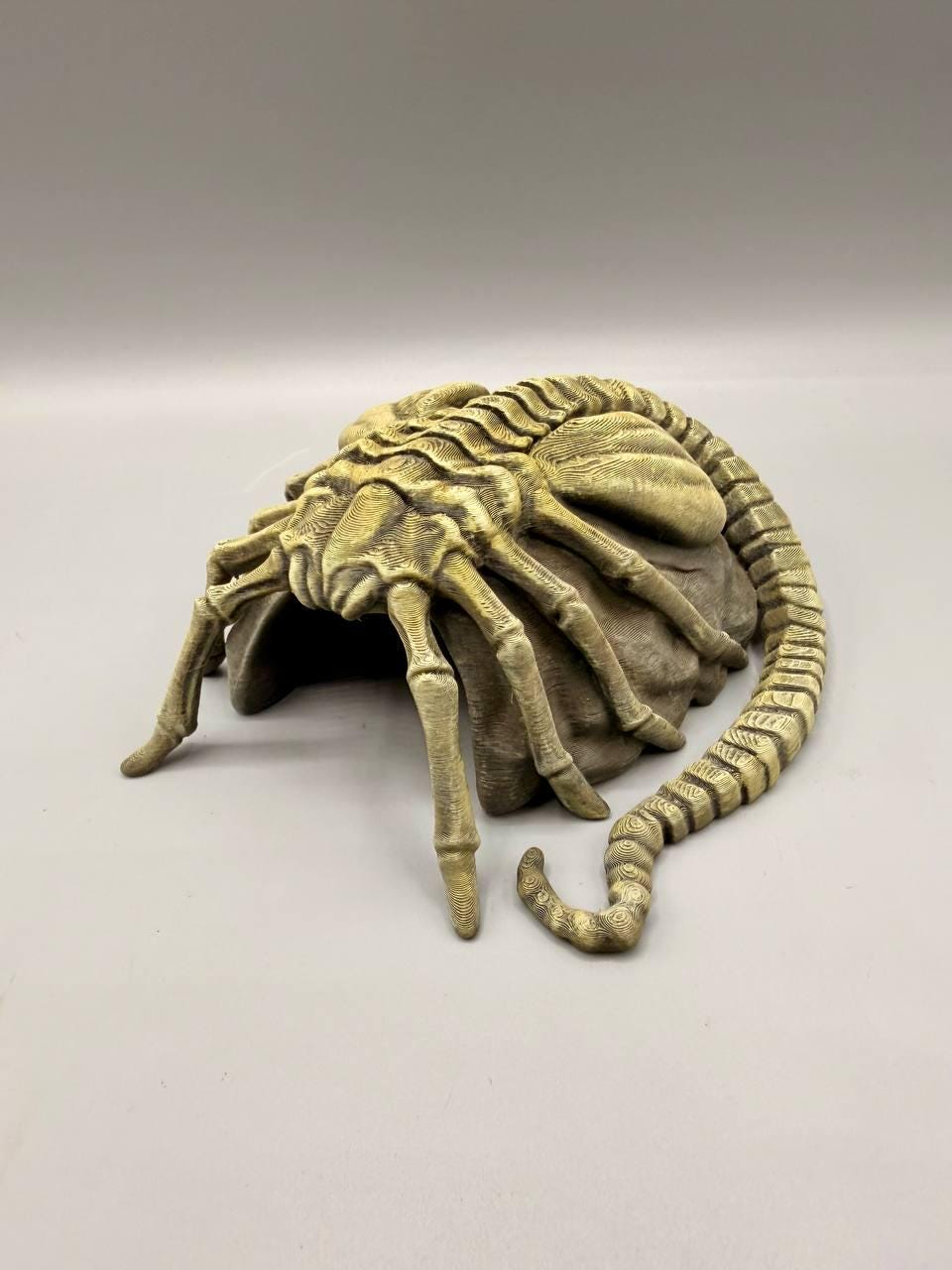 Facehugger Hideout, 3D printed in PETG, view 3 of 8