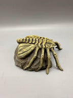 Facehugger Hideout, 3D printed in PETG, view 7 of 8