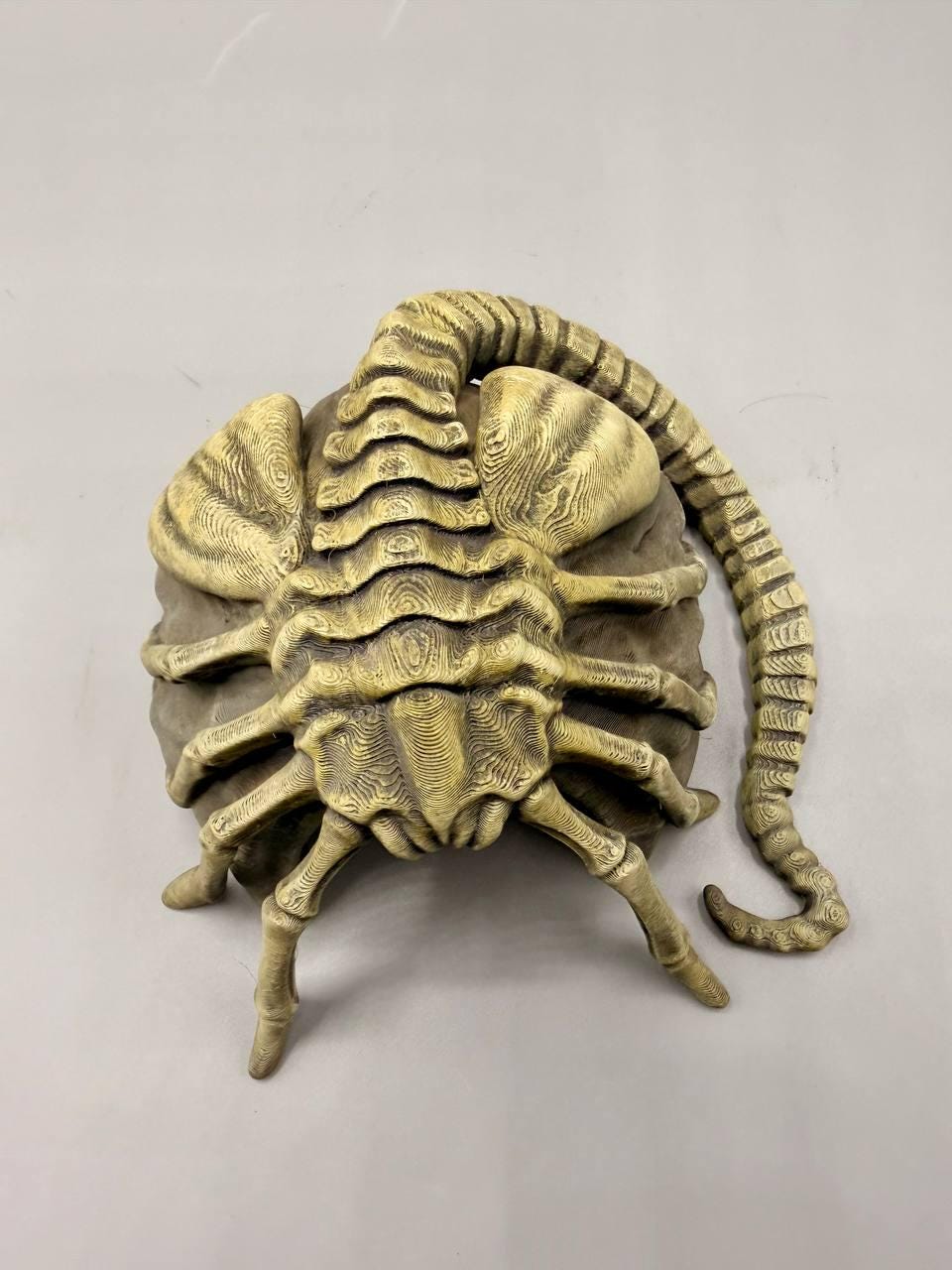 Facehugger Hideout, 3D printed in PETG, view 8 of 8