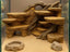 Savannah 3D Background, 3D printed in PETG, for terrariums, vivariums and aquariums