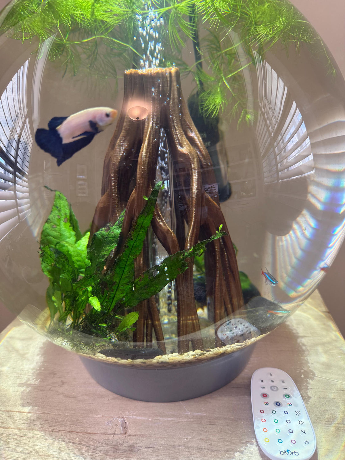 Mangrove Root Cave Hide, 3D printed in PETG, view 7 of 8