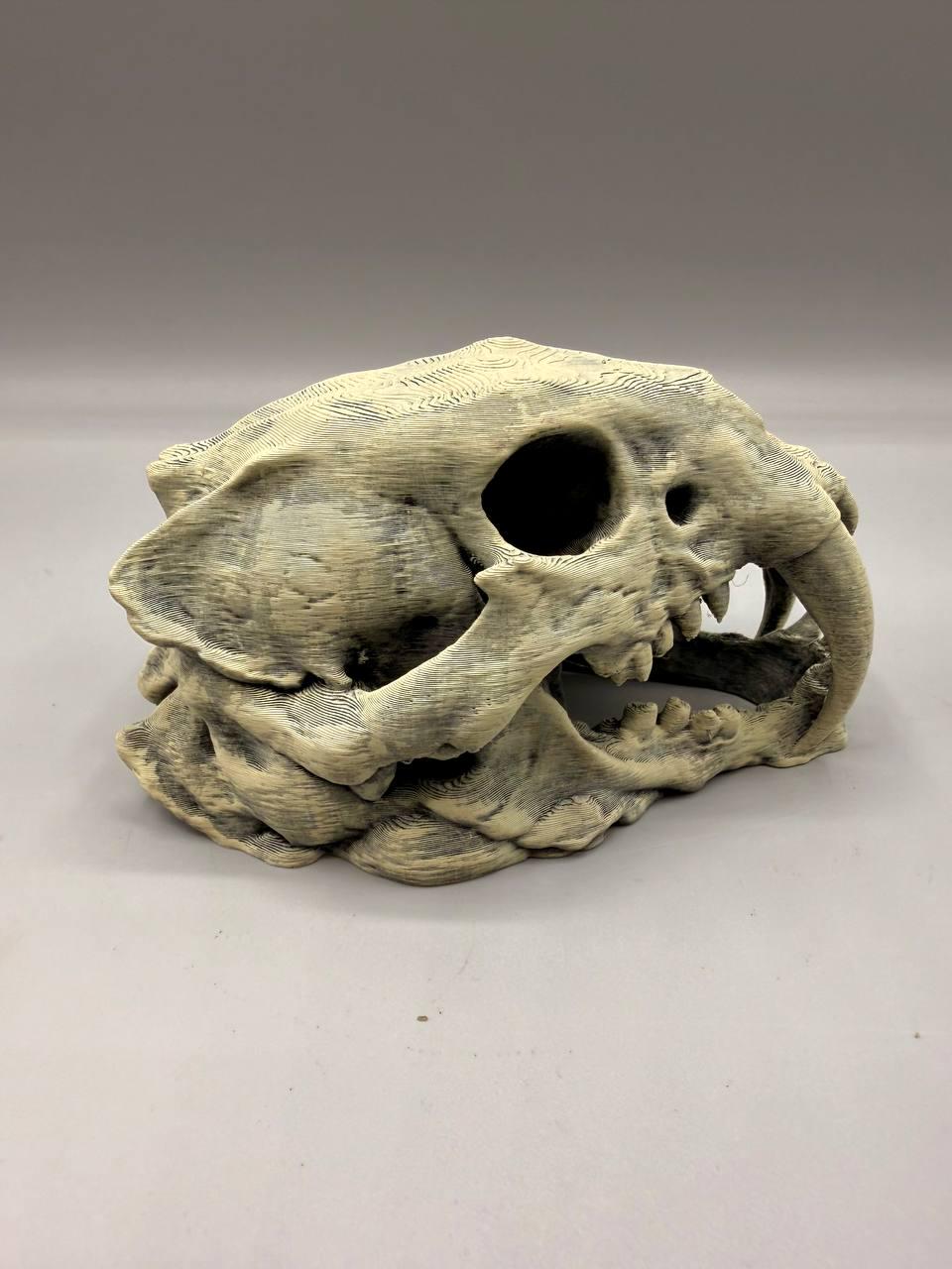Sabertooth Skull, 3D printed in PETG, view 5 of 6