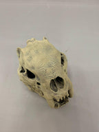 Sabertooth Skull, 3D printed in PETG, view 6 of 6
