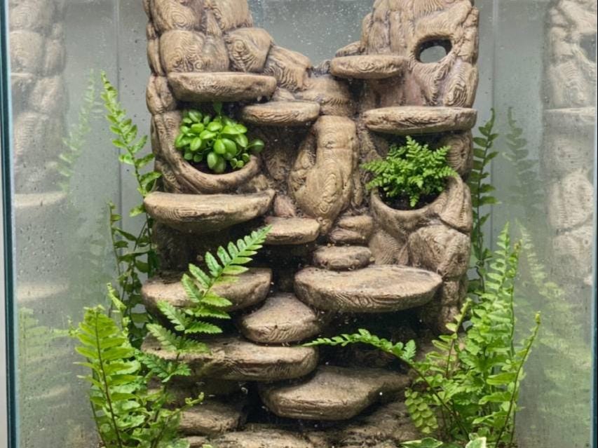 Stone Terrace 3D Background, 3D printed in PETG, for terrariums, vivariums and aquariums Main image