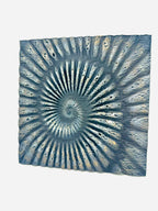 Ammonite Fossil 3D Background, 3D printed in PETG, view 2 of 2