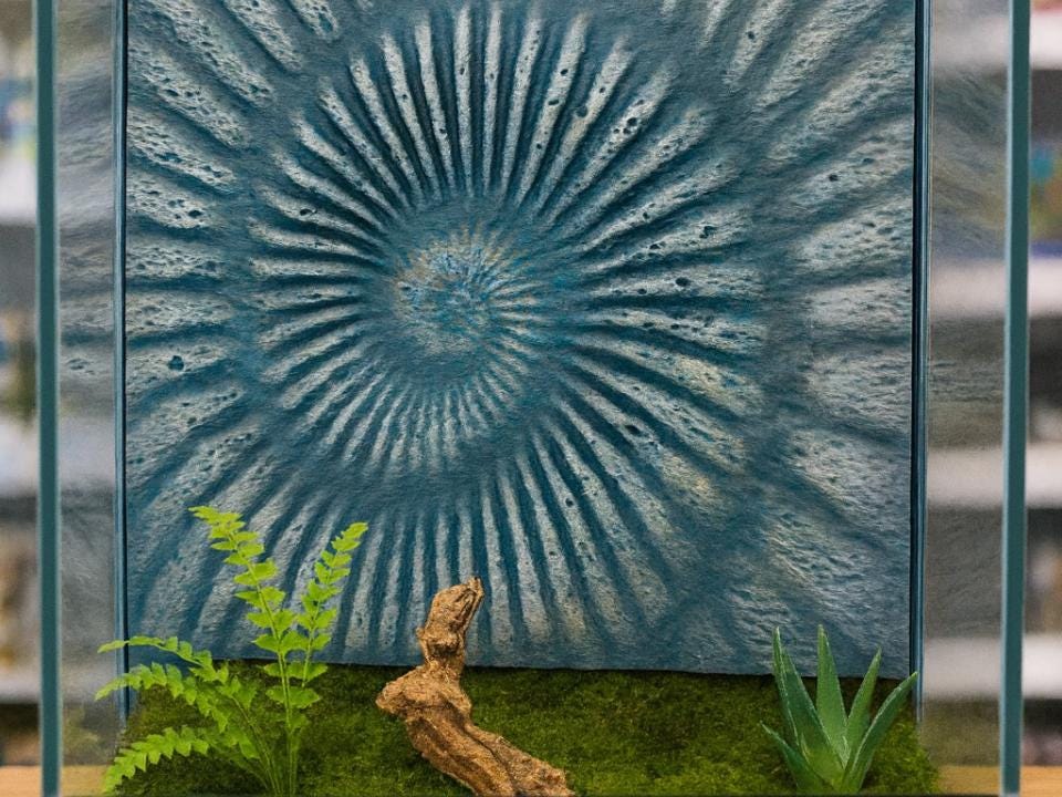 Ammonite Fossil 3D Background, 3D printed in PETG, for terrariums, vivariums and aquariums