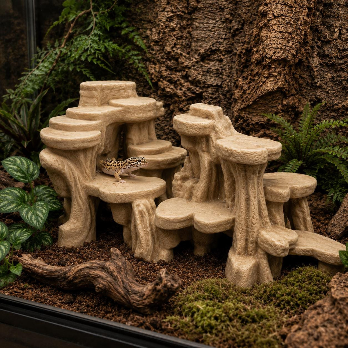 Wide Canyon 3D Background, 3D printed in PETG, for terrariums, vivariums and aquariums