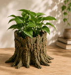 Tree Stump Planter, 3D printed in PETG, view 2 of 7