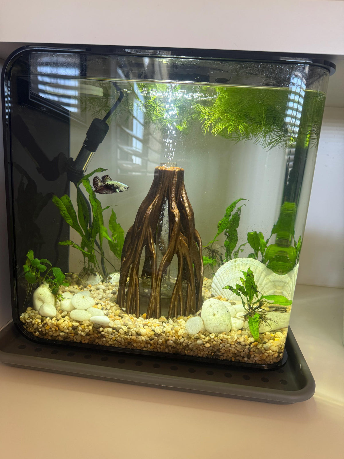 Mangrove Root Cave Hide, 3D printed in PETG, view 8 of 8