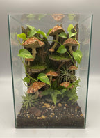 Mushrooms 3D Background, 3D printed in PETG, for terrariums, vivariums and aquariums