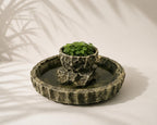 Water Bowl Planter, 3D printed in PETG, view 2 of 6