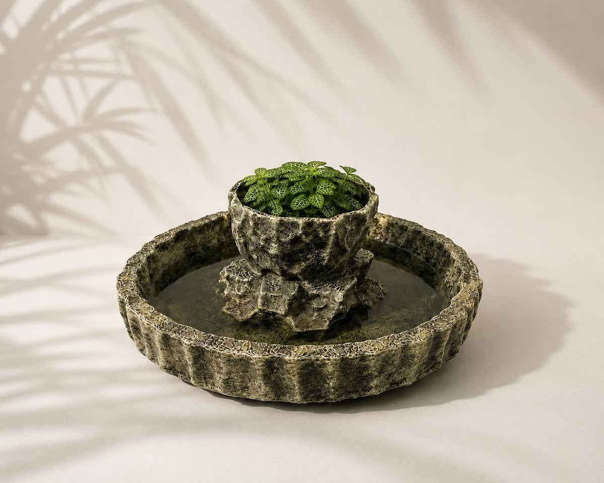 Water Bowl Planter, 3D printed in PETG, view 2 of 6