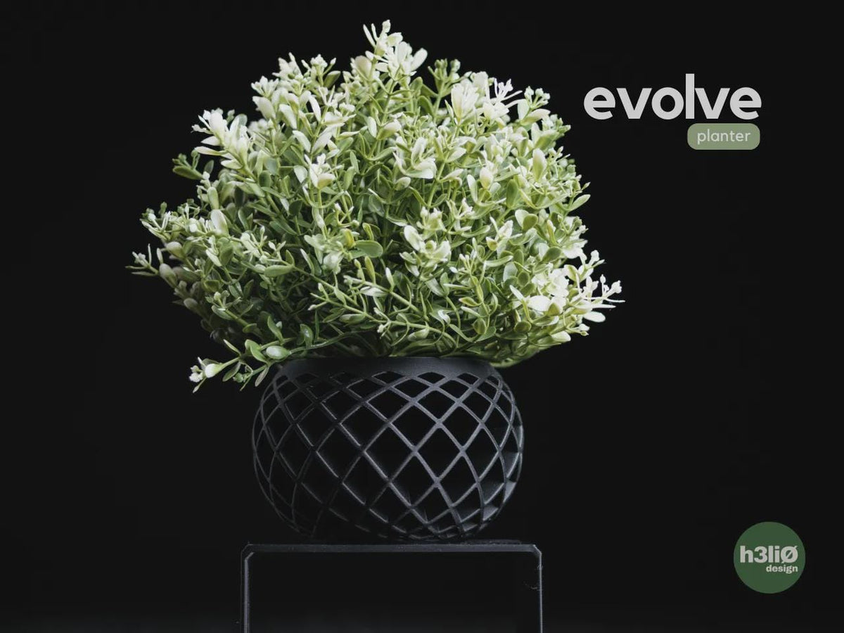 Evolve Geometric Planter, 3D printed in PLA