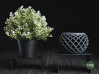 Evolve Geometric Planter, 3D printed in PLA, view 4 of 10