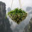Pandora Hanging Planter, 3D printed in PLA