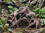 Gnarled Tree Root Cave Hide, 3D printed in PETG, for reptiles, amphibians and fish