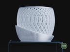 Quasar Orchid Planter, 3D printed in PLA, view 6 of 13