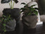 Fjord Wave Self-Watering Flower Pot Set, 3D printed in PLA
