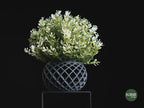 Evolve Geometric Planter, 3D printed in PLA, view 8 of 10