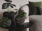 Fjord Wave Self-Watering Flower Pot Set, 3D printed in PLA, view 6 of 16