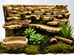 Terraces 3D Background