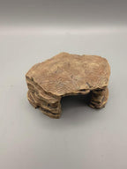 Sandstone Shelter in a desert terrarium setting