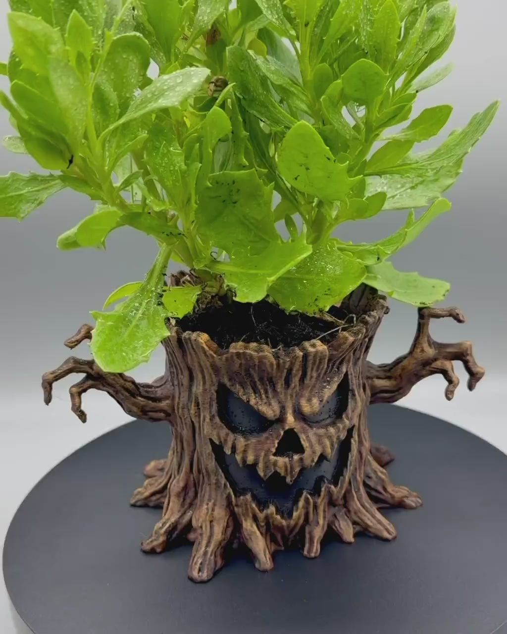Haunted Hollow Planter painted display example